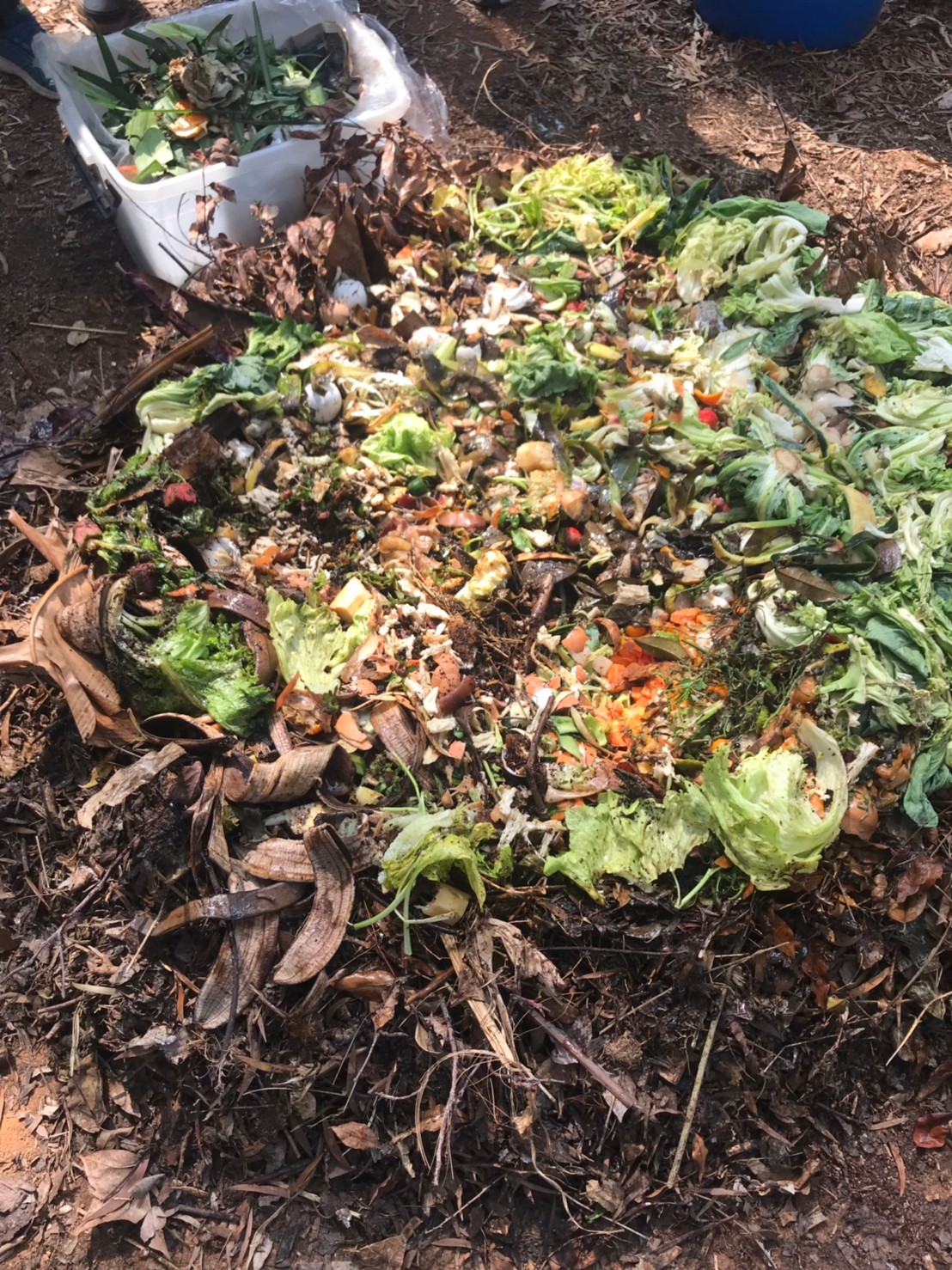 compost heat01