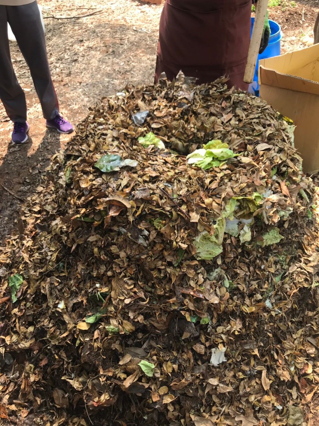 compost heat01